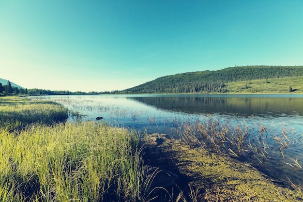 Lac en Alaska