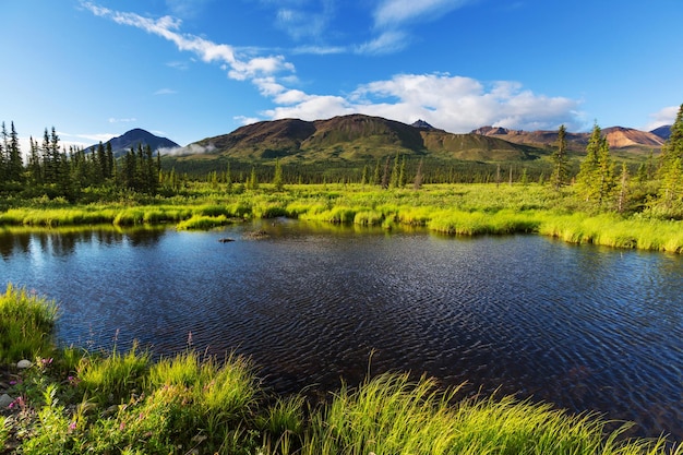 Lac sur l'Alaska