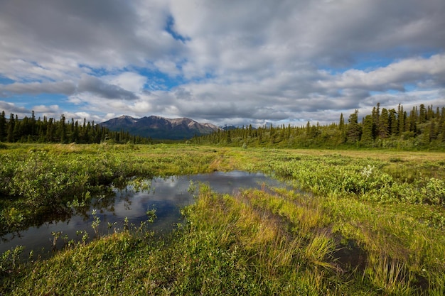 Lac sur l'Alaska