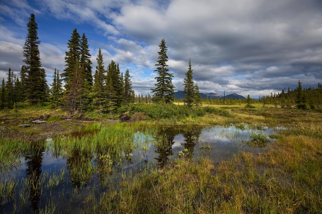 Lac sur l'Alaska