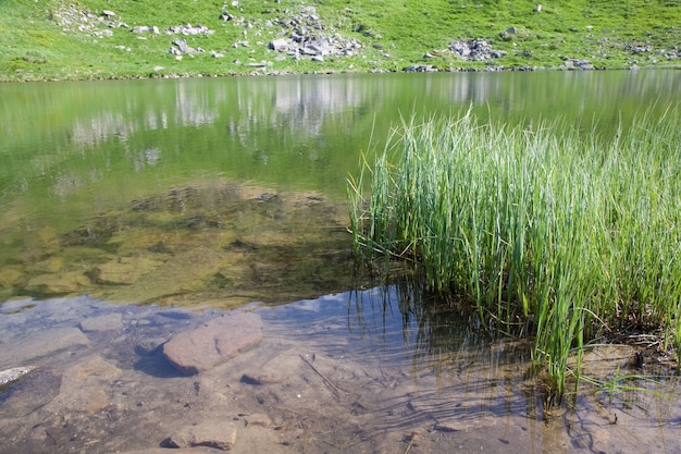 Lac alpin Nesamovyte sur ravin de montagne d'été (Ukraine, crête de Chornogora, montagnes des Carpates)