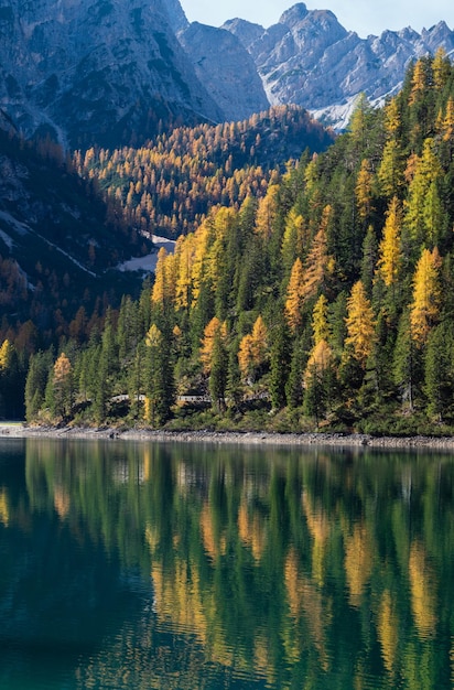 Lac alpin paisible d'automne Braies ou Pragser Wildsee Parc national de FanesSennesPrags Tyrol du Sud Dolomites Alpes Italie Europe Pittoresque scène de concept de beauté saisonnière et de la nature