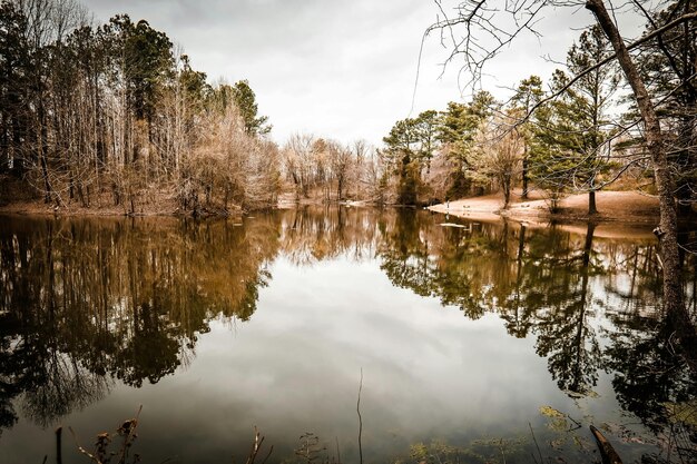 un lac avec un arbre en arrière-plan et un ciel nuageux