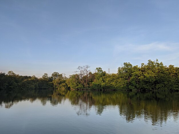 Un lac avec des arbres et de l'eau au premier plan