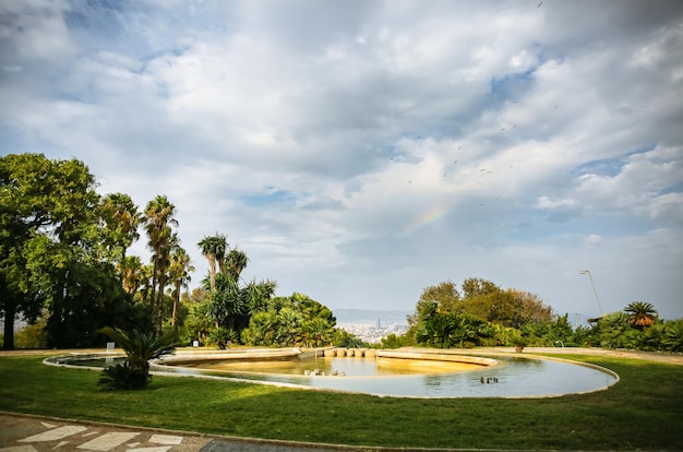 Le lac et les arbres sur la montagne de Montjuic Belle nature au sommet