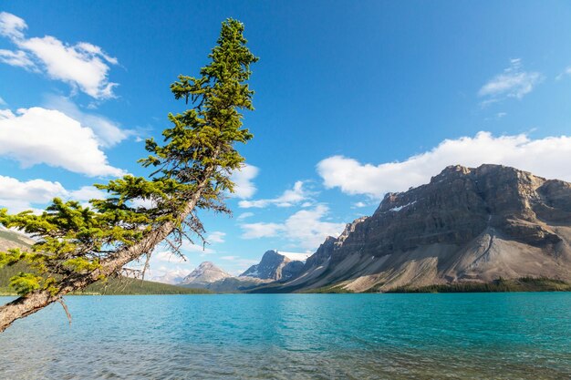 Lac d'arc