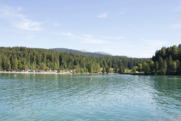 Lac au milieu de la forêt