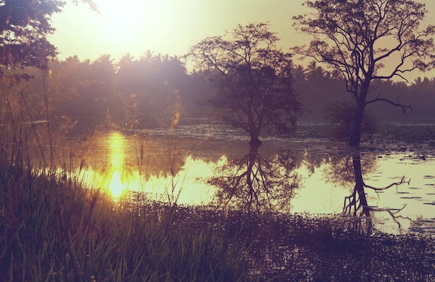 Lac au Sri Lanka