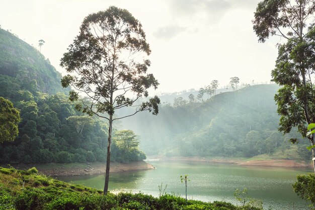 Lac au Sri Lanka