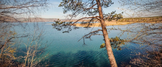Lac Baïkal, région d'Irkoutsk, vue à travers la forêt