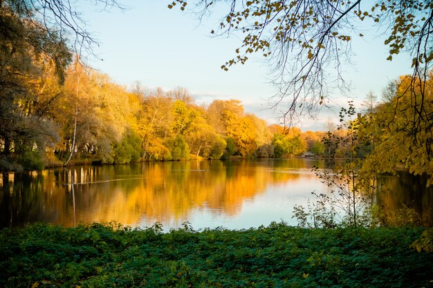 lac avec de beaux arbres de couleur rouge et jaune.