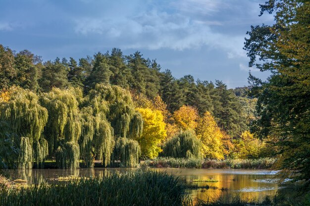 à un lac. belle nature. couleurs d'automne. relaxation