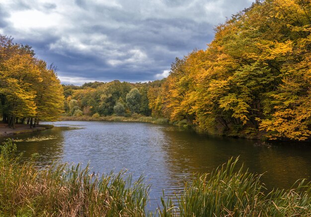 à un lac. belle nature. couleurs d'automne. relaxation