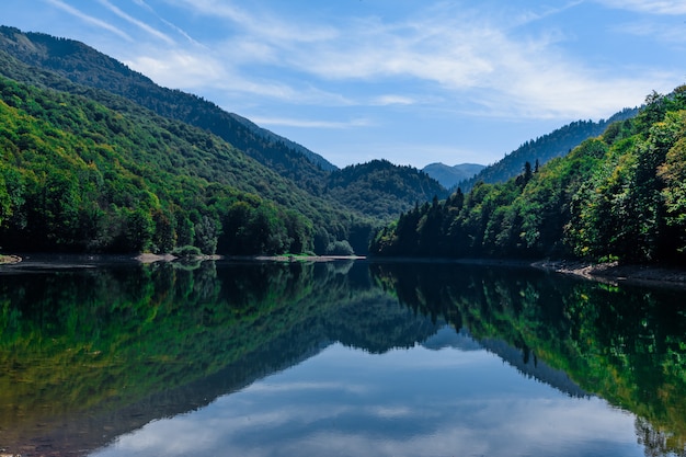 Photo lac biogradsko dans le parc national biogradska gora (monténégro, europe)