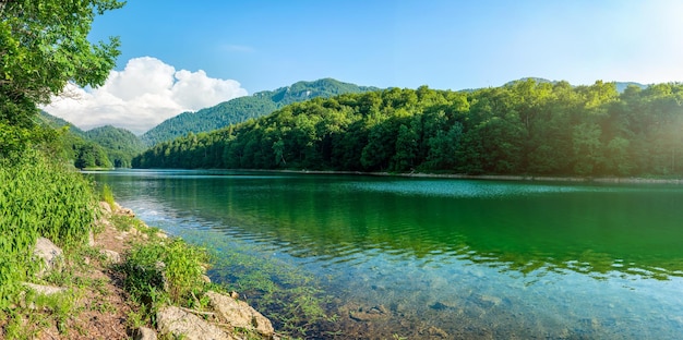 Lac Biogradsko dans le parc national Biogradska Gora Monténégro