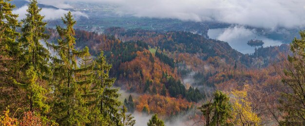 Lac de Bled Slovénie