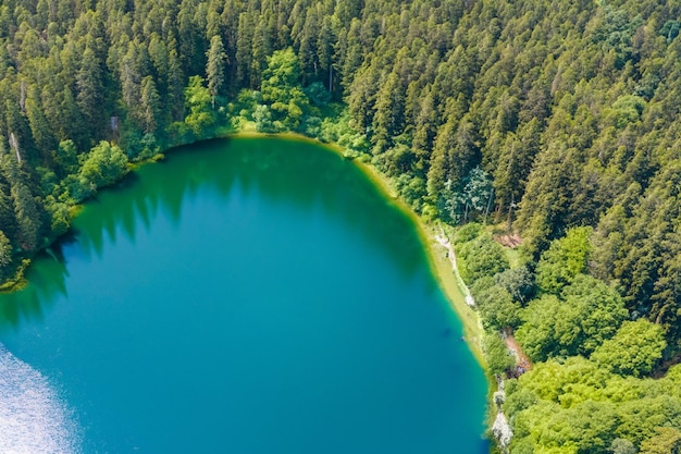 Lac bleu au milieu de la forêt verte vue aérienne Sauvage lac coloré dans un parc de montagne en Pologne