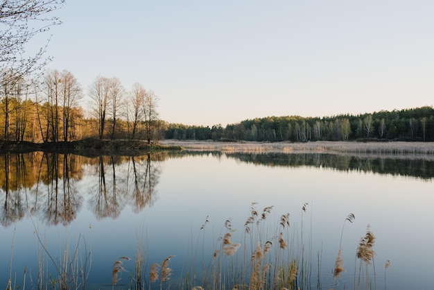 Lac bleu sur fond de forêt sombre Eau de rivière bleue Lac d'été pour la pêche Coucher de soleil sur la rivière Fond de nature Paysage de lac de printemps Voir Bannière vintage pour la conception