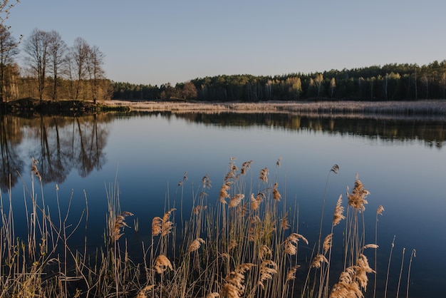 Lac bleu sur fond de forêt sombre Eau de rivière bleue Lac d'été pour la pêche Coucher de soleil sur la rivière Fond de nature Paysage de lac de printemps Voir Bannière vintage pour la conception