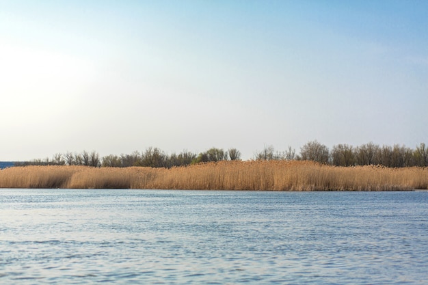 Sur le lac bleu l'horizon de roseau d'or