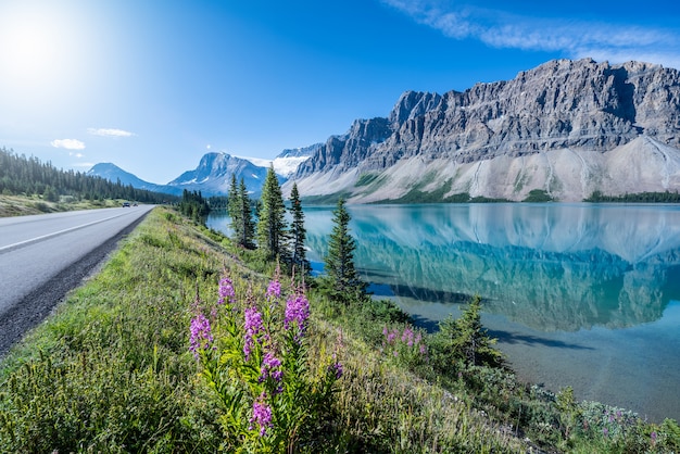 Lac Bow, Parc National Banff, Alberta, Canada