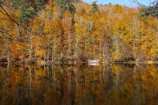 Lac Buyuk dans le parc national de Yedigoller Bolu Turquie