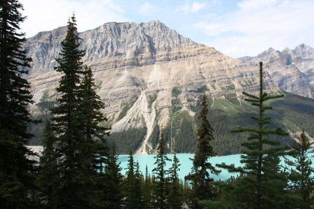 Photo le lac calme contre les montagnes rocheuses