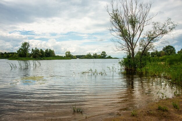 Lac avec canne, lieu de pêche, paysage naturel