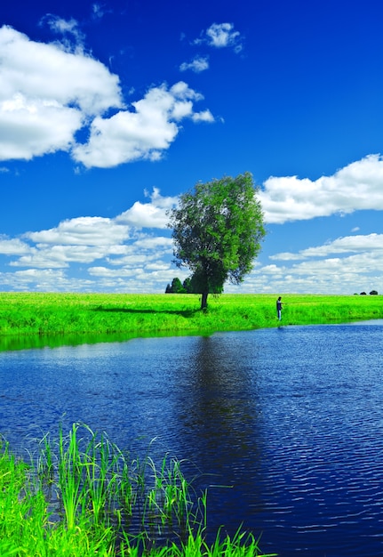 Lac sur champ d'été