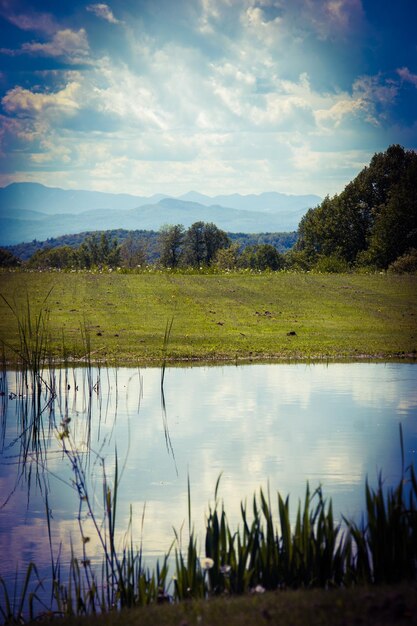 Photo le lac et le champ herbeux contre le ciel nuageux