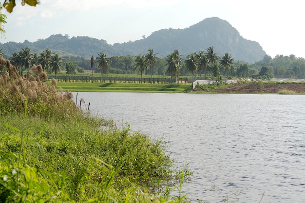 Le lac et les collines