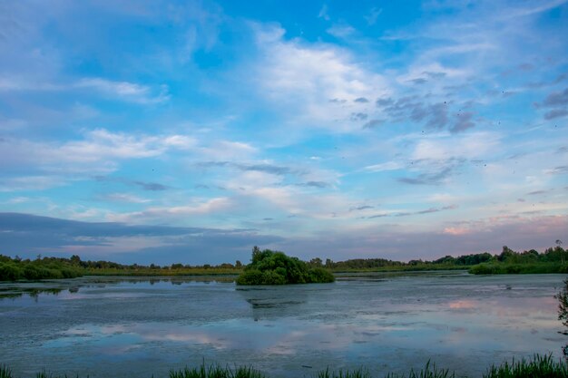 Photo lac couvert de lentilles d'eau kiovo région de moscou russie église orthodoxe sur la rive envahie de roseaux au soir d'été