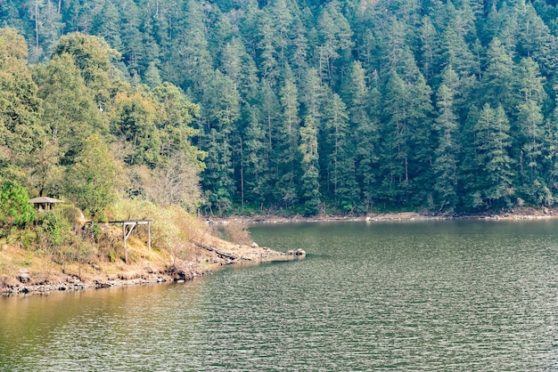 Photo lac dans la forêt avec des montagnes jour nuageux