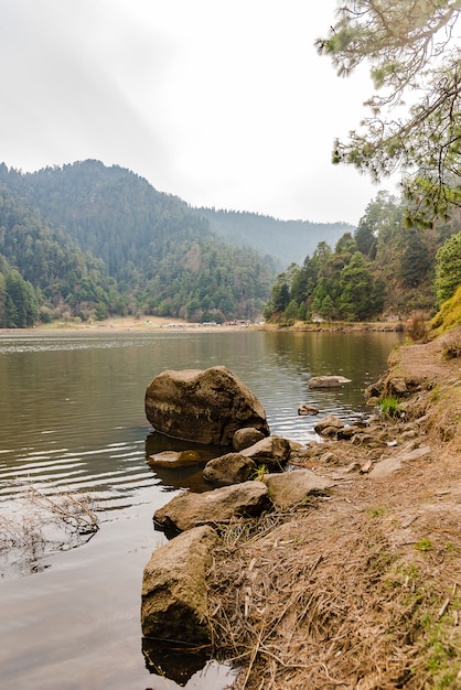 Photo lac dans la forêt avec des montagnes jour nuageux