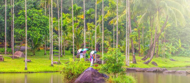 Photo lac dans la forêt tropicale yanoda forêt tropicale hainan chine