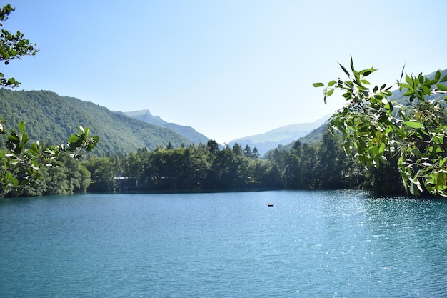 lac dans les montagnes entouré d'arbres