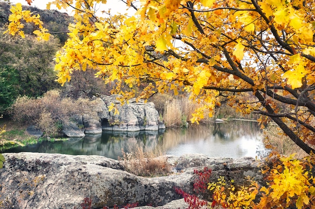 Photo lac dans les montagnes sous l'arbre jaune