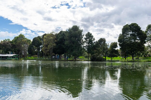 Photo un lac dans le parc avec des arbres et un ciel nuageux