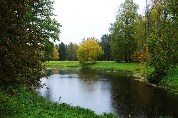 Lac dans le parc en automne. Beauté d'automne.