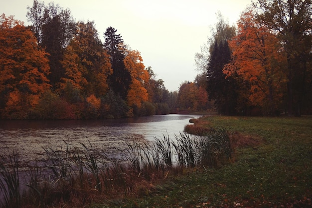 Lac dans le parc d'automne Beauté d'automne