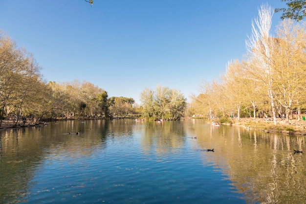 Lac dans un parc de loisirs