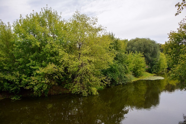 Lac dans le parc vert de la ville