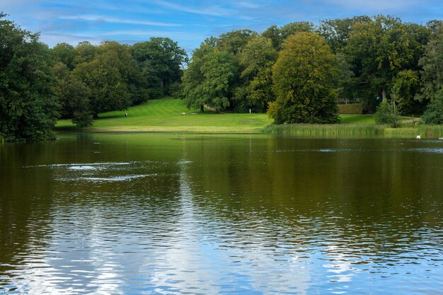 lac dans le parc