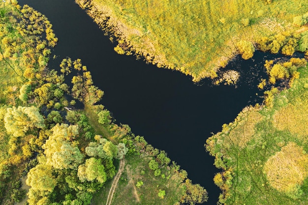 Lac dans les prés