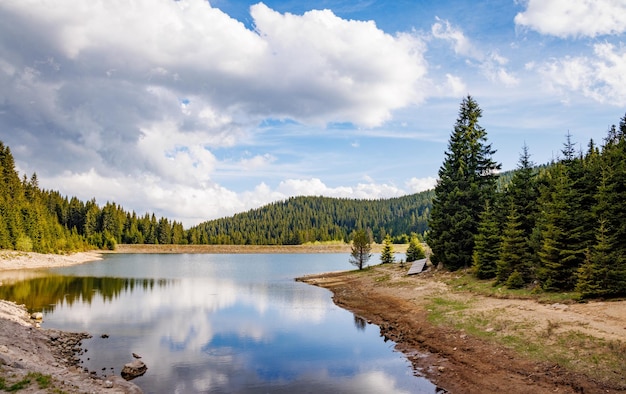 Lac à l'eau claire et rivage de pierre dans une forêt d'épicéas avec des sapins contre un ciel de jour