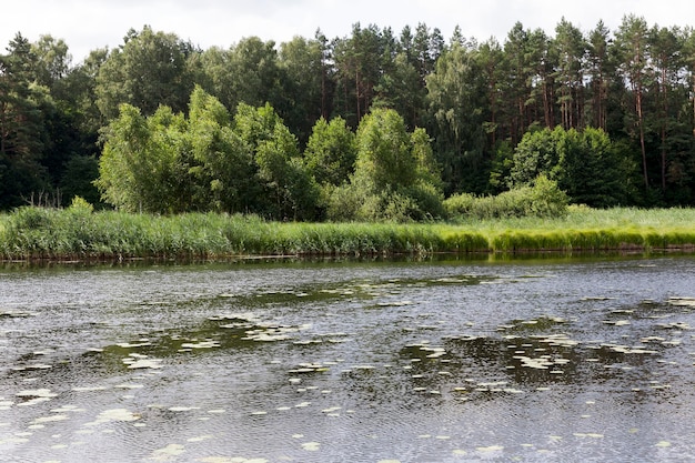 Lac avec de l'eau sale en été