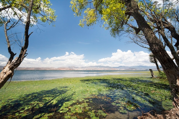 Lac Erhai à Dali, province du Yunnan, Chine.