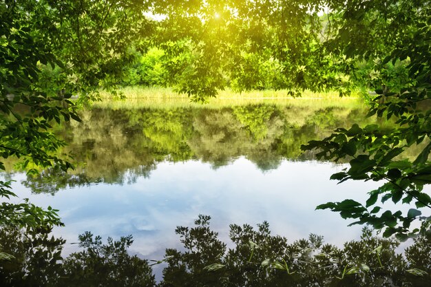 Le lac est encadré de feuillage vert sous un soleil éclatant