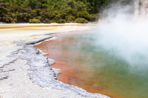 Lac étincelant chaud en Nouvelle-Zélande