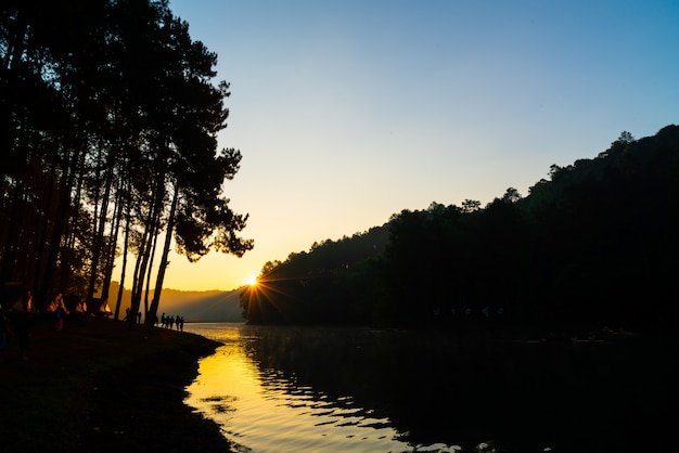 Lac et forêt au lever du soleil